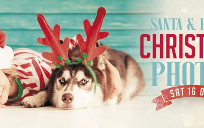 Santa & Husky Dog Photos + Face Painting